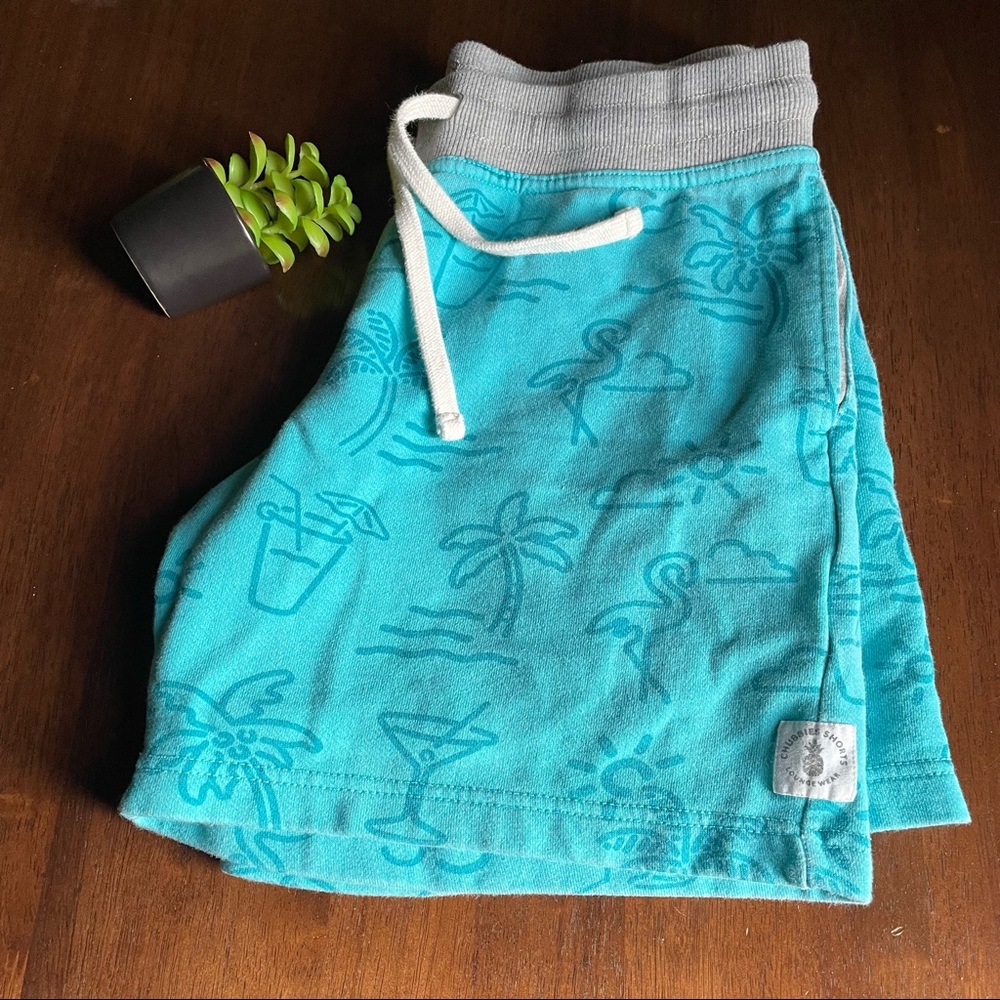 Chubbies Blue & Grey Cotton Lounge Wear Shorts Size Small